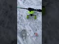 Рыбалка на вибы. Щука, судак. Приманки на которые всегда клюет