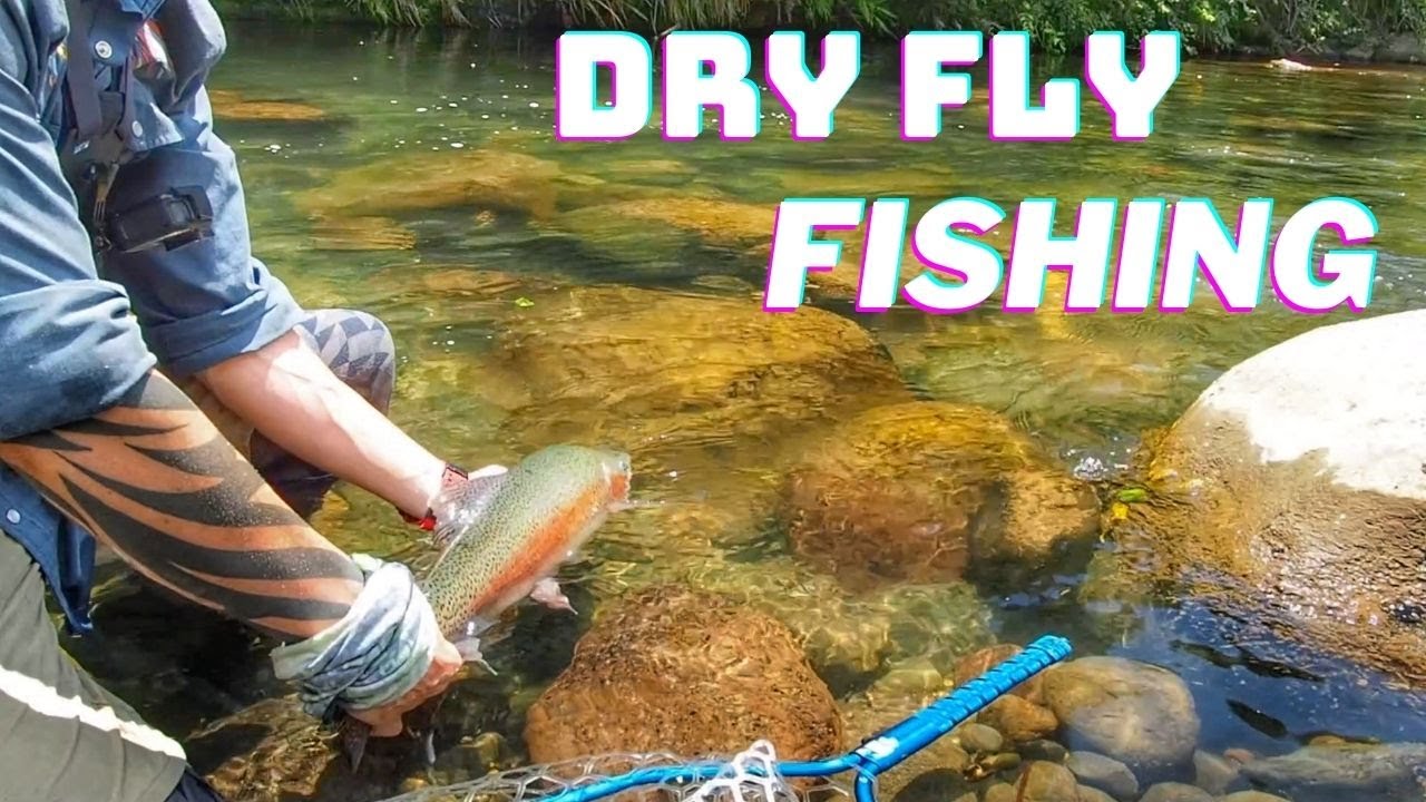 SIGHT FISHING to WILD Trout in the WILDERNESS [New Zealand]