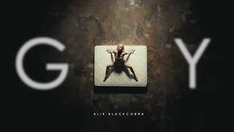 ALIE BLACKCOBRA - G.A.Y (second video teaser)