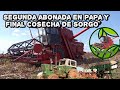 CARPIDOR Y ABONO EN PAPA Y FINAL DE COSECHA DE SORGO. Segunda parte