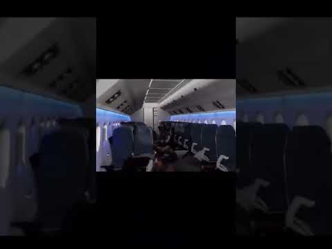 تصویری: کدام مسافرین هواپیما در لانه مخفی هستند؟