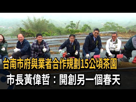 台南市府與業者合作規劃15公頃茶園 市長黃偉哲:開創另一個春天-民視新聞