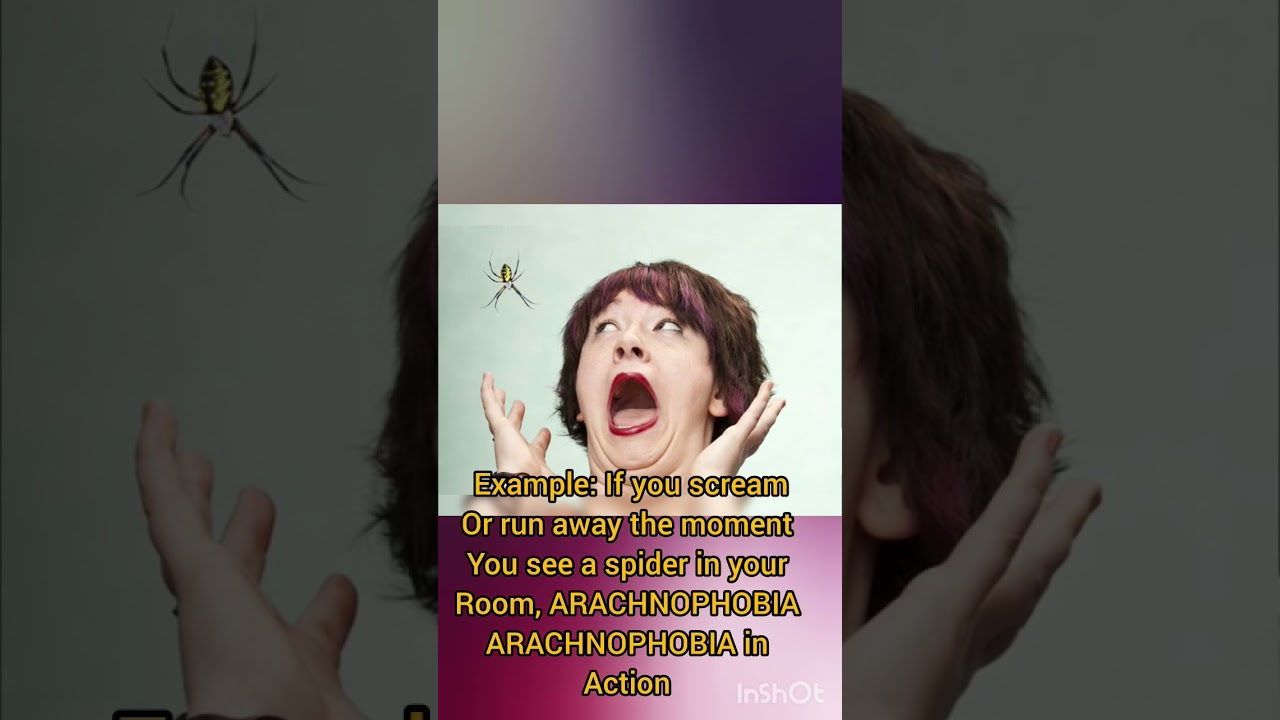 Journey to phobias | part 2 