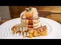 Exploring Akihabara Food Shopping Anime and Japanese Pancakes - vlog #034 part 1