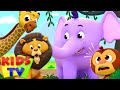 ABC Song | Five Little Monkeys | Baby Shark  + More Nursery Rhymes for Kids | Baby Songs | Kids TV
