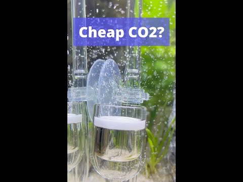 Video: Paano mo isusulat ang formula para sa co2?