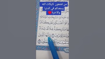#إستخراج #أحكام سورة التحريم