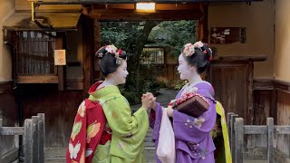 京都・祇園を歩く美しい舞妓👘😍｜日本の伝統美に外国人観光客が驚愕！🇯🇵