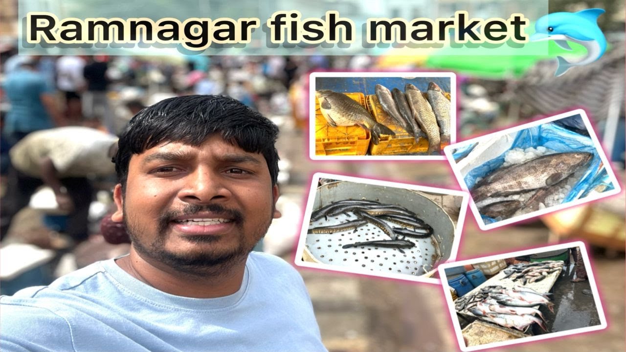 Ram nagar చేపల Market🐟🐠 Ram nagar Fish Market 🦈🦦 రాంనగర్ చేపల