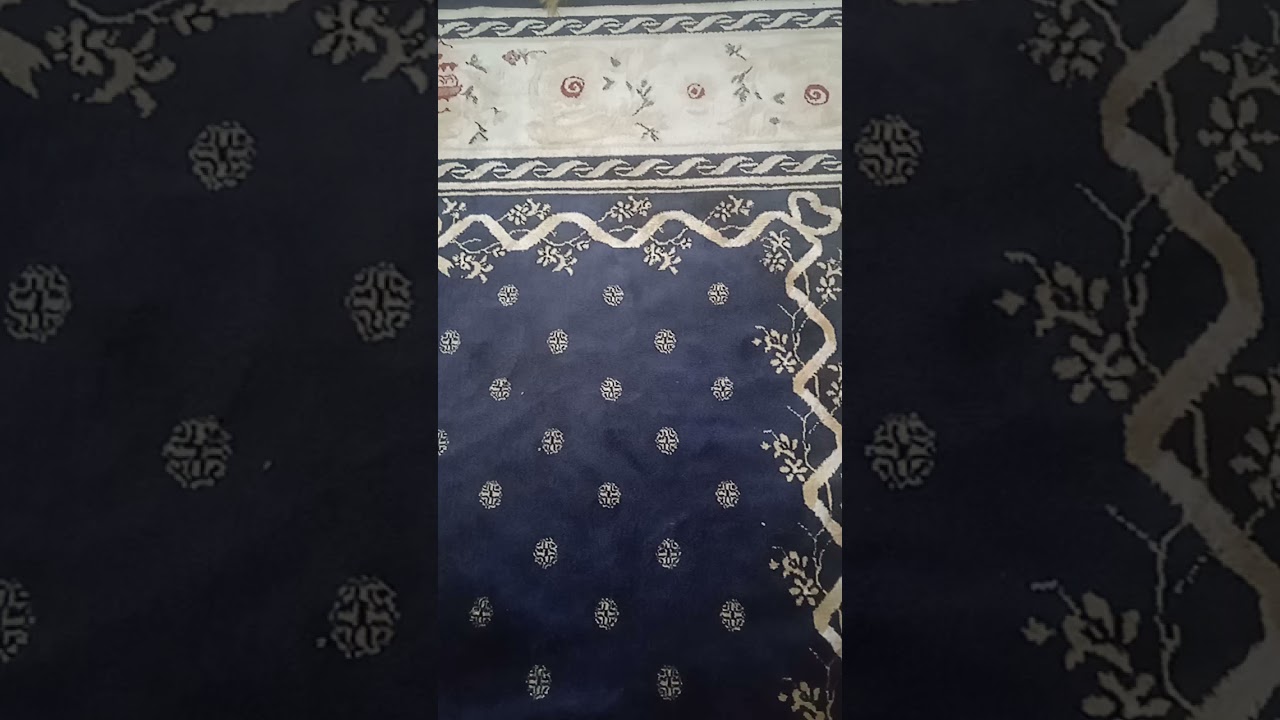 كيف تربي عصفورك لتزاوج