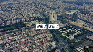 WALA WALA : m.bear