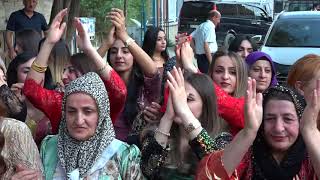 Muhteşem Hakkari düğünleri 2021 new   mamxuran düğünü