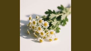 Sunyi Angin Bangkit Lagu