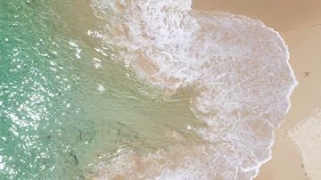 A Meditation on the Healing Stream of Divine Life