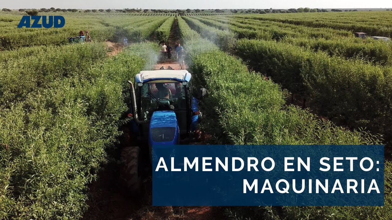 Qué maquinaria utilizar en una plantación de almendro en seto