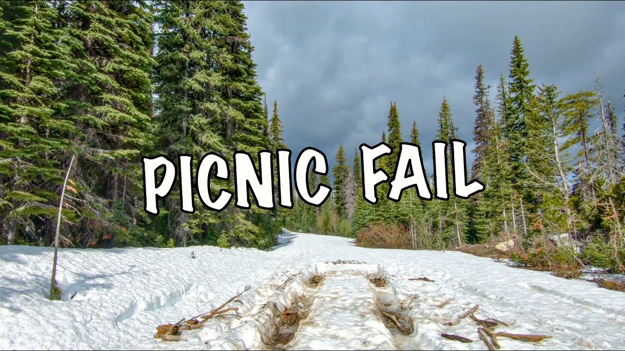 First choice for a picnic fail