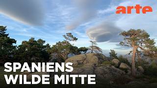 Sierra de Guadarrama: Wildnis vor Madrids Haustür | Europas Mittelgebirge