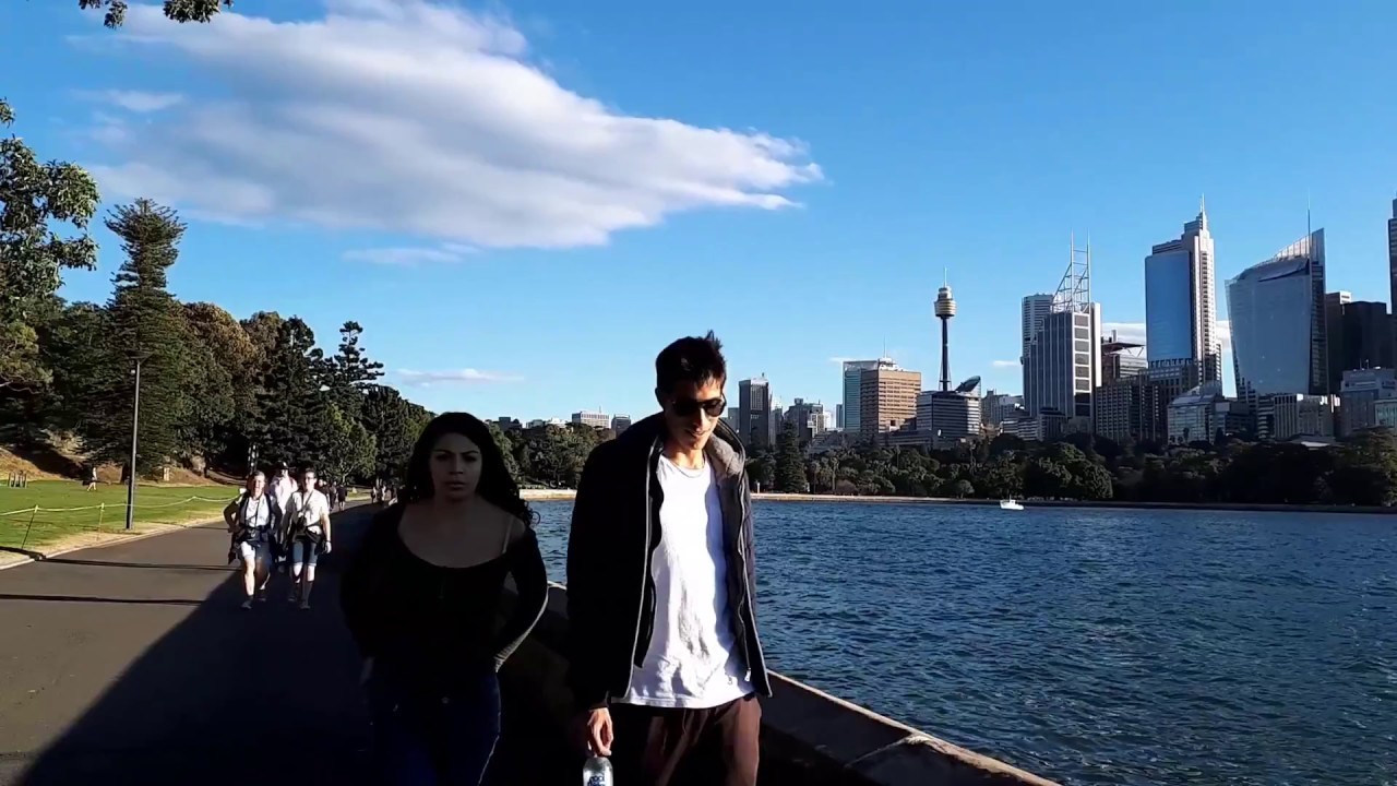 Walk from Mrs Macquarie's Chair to the Sydney Opera House