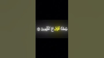 القارئ شادي هاني