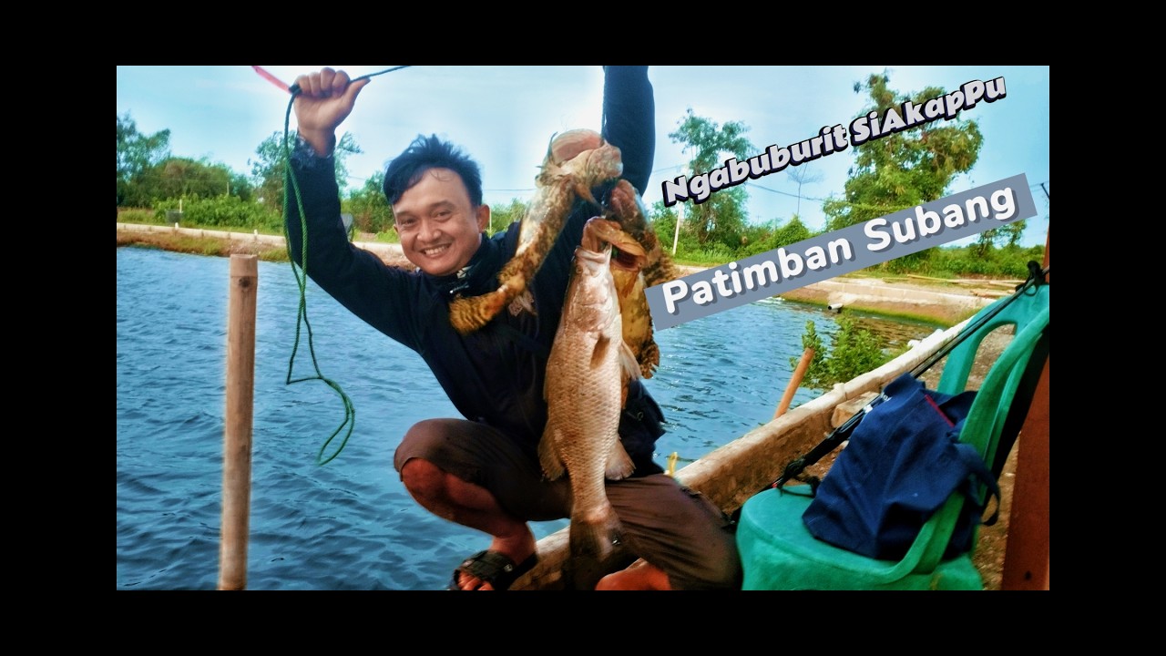 ‼️ Ngabuburit mancing SIAKAPPU SUBANG PATIMBAN ⚠️