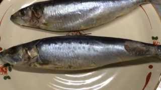 「鰯の塩漬」＝「塩イワシ」おまけ動画魚の正しい焼き方！