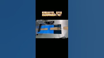 High Speed BBQ Sticks Automatic Counting Packing Machine | SAYOK