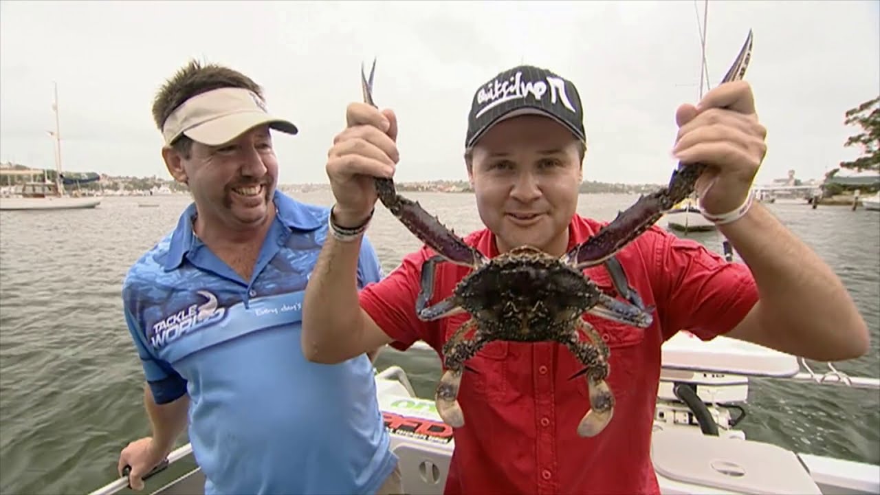 IFISH Sydney Harbour for Crabs, Tailor & Salmon