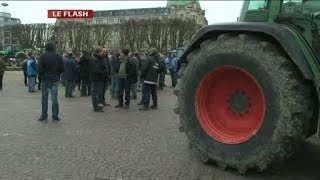 Manifestation des agriculteurs