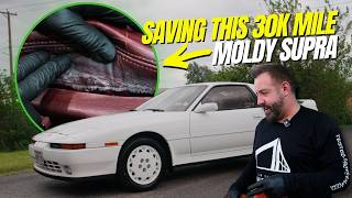 Saving a 1990 Supra: Full Detail & Decontamination