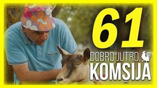 DOBRO JUTRO, KOMŠIJA - EPIZODA 61