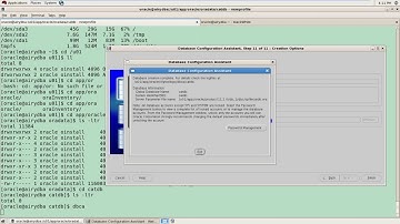 Oracle 12 2 DBA Classes 24 20190907 RMAN Catalog Database