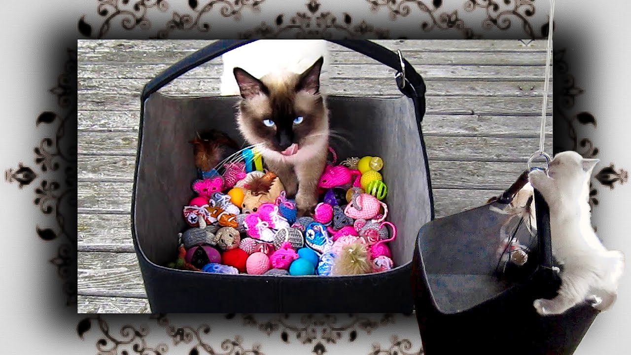 DIY 😻 Filzkorb Schaukel Mobilee für Katzen | Felt basket swing for cats