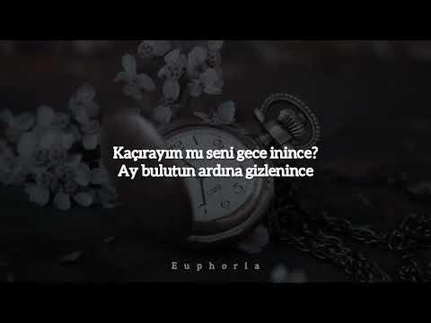 ziynet sali-deli divane (lyrics)