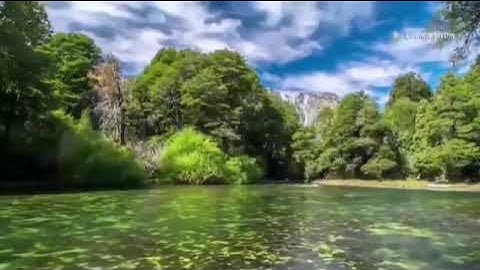 تعلم سورة البقرة - الصفحة (48) #علم_وعمل #أخذها_بركة