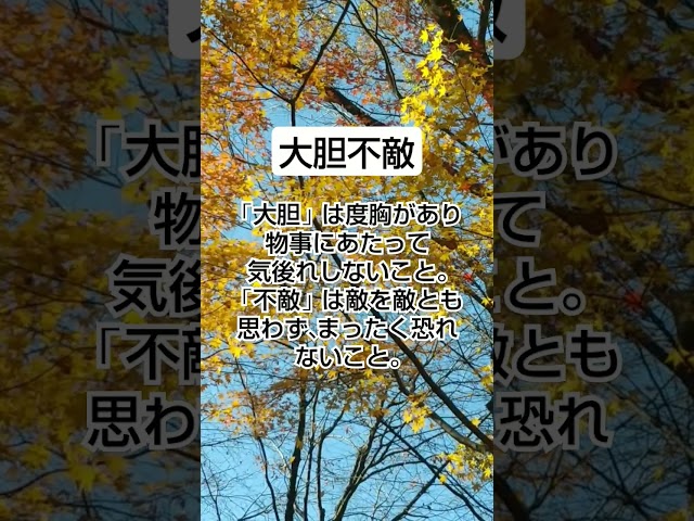大胆不敵NEW!