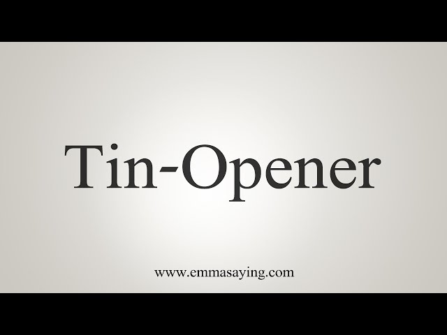 tin-opener noun - Definition, pictures, pronunciation and usage
