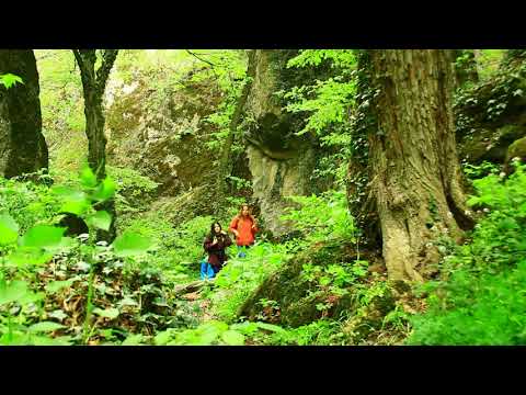 ბირთვისები 2018