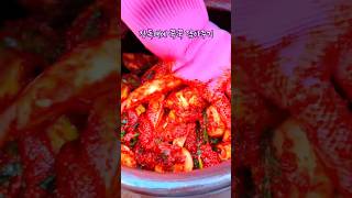 전라도 무김치 1분도 안되게 담는 법 #시골 #전라도 #무김치 #담그는법