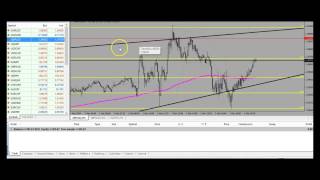 Live Forex Trade Fibonacci + Trendline Continuation