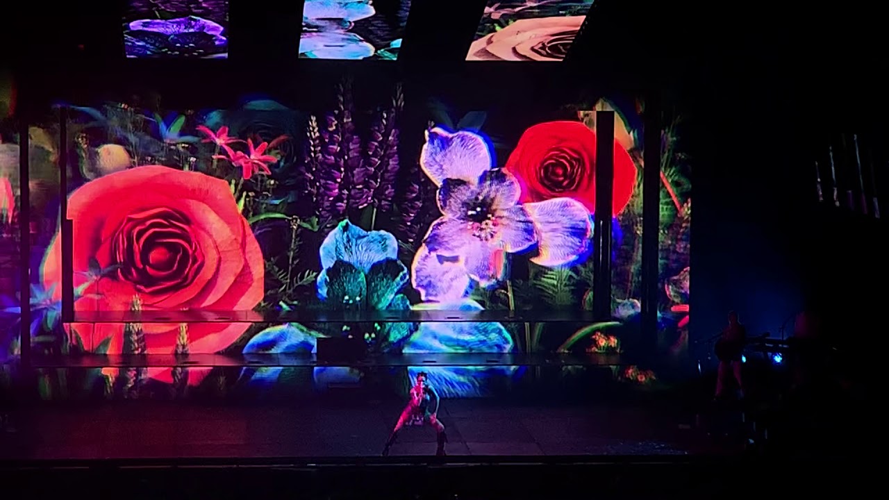 Halsey- Graveyard (Live Dublin 2020) - YouTube