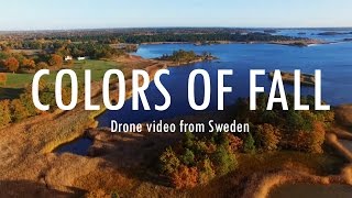 Colors Of Fall A Drone Video From Sweden Shot In 4K