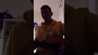 Frank Sinatra - My Way solo guitar... #fingerstyle #guitar #rockmusic #guitarist #franksinatra