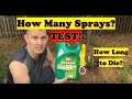 Weed B Gone RESULTS Over Time TEST! | How Many Sprays to Kill Weeds? (LAWN CARE)