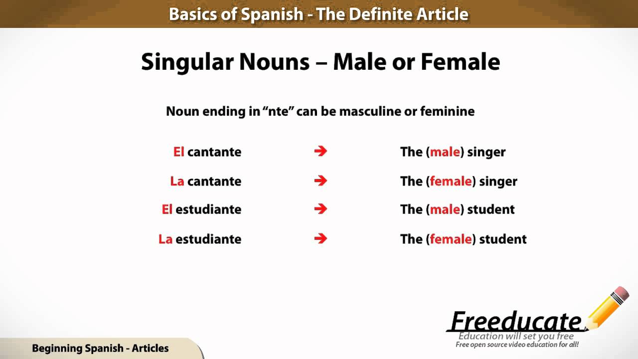 basics-of-spanish-the-definite-article-and-the-gender-of-nouns-youtube
