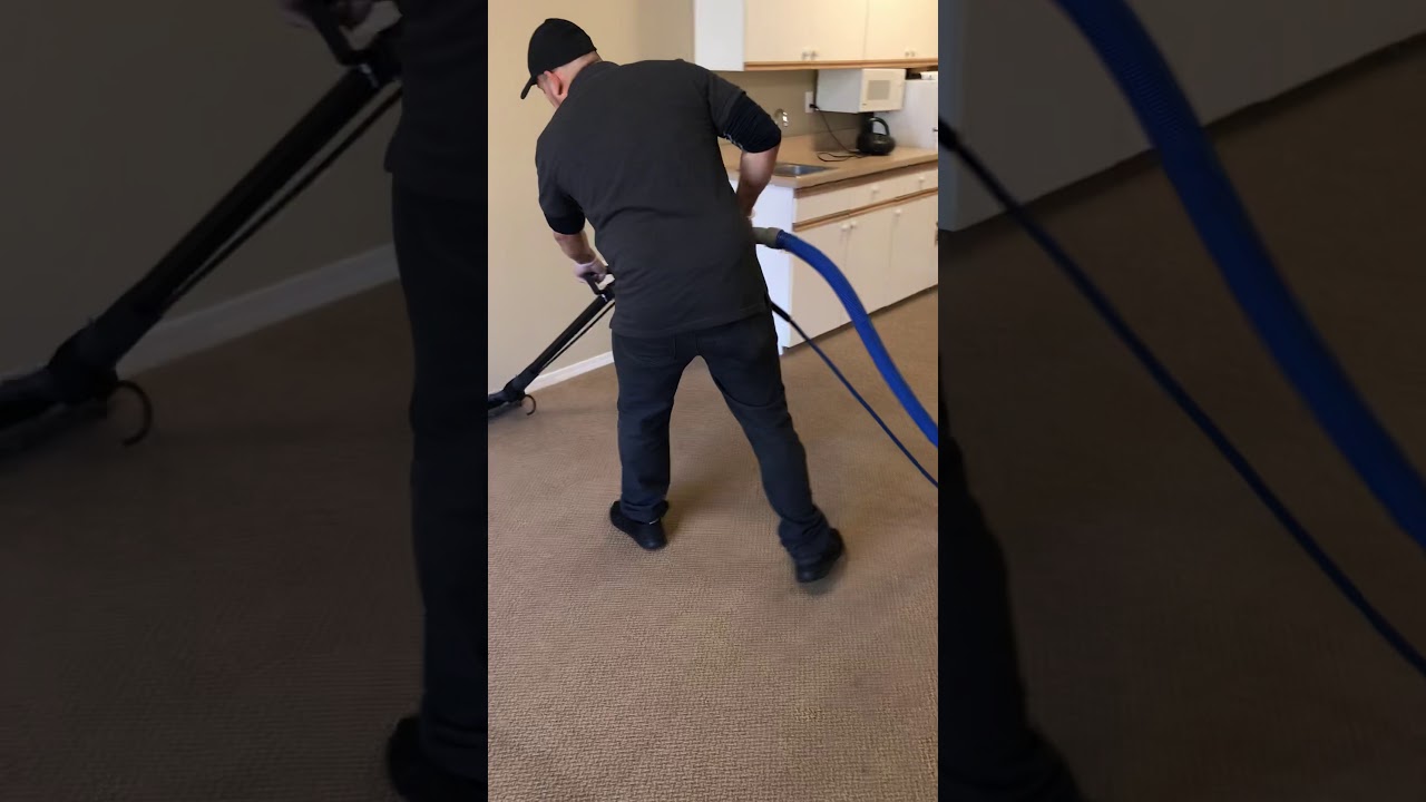 Carpet cleaner near me - YouTube