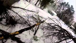 Tree Felling and Removal Compilation