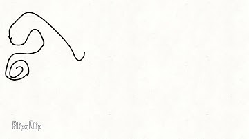 Shapeshift (test animation)