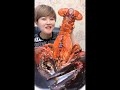 China Mukbang ASMR Spicy Seafood(Octopus, Scallop, Gaint Lobster Tail,King Crab）Eating Show 102