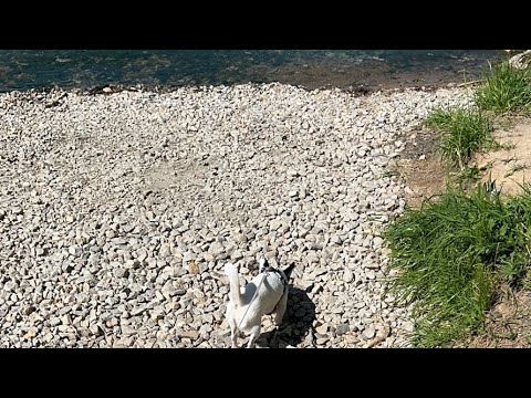 Мистер Вайт в прямом эфире - YouTube