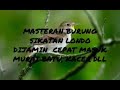 MASTERAN BURUNG SIKATAN LONDO DIJAMIN CEPAT MASUK UNTUK BURUNG MURAI BATU,KACER DLL